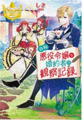 定式选择模块示意图